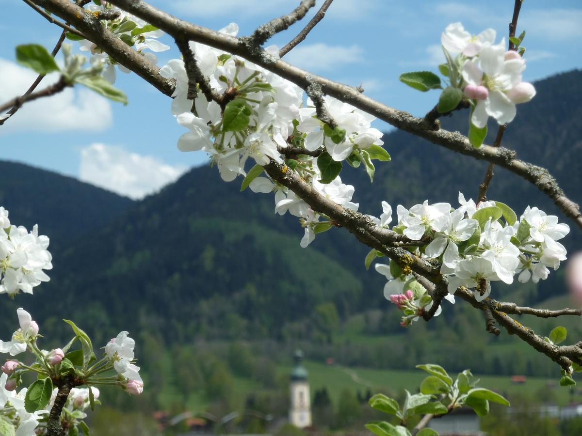 Ferienwohnung Zum Heisn Lenggries Exterior foto